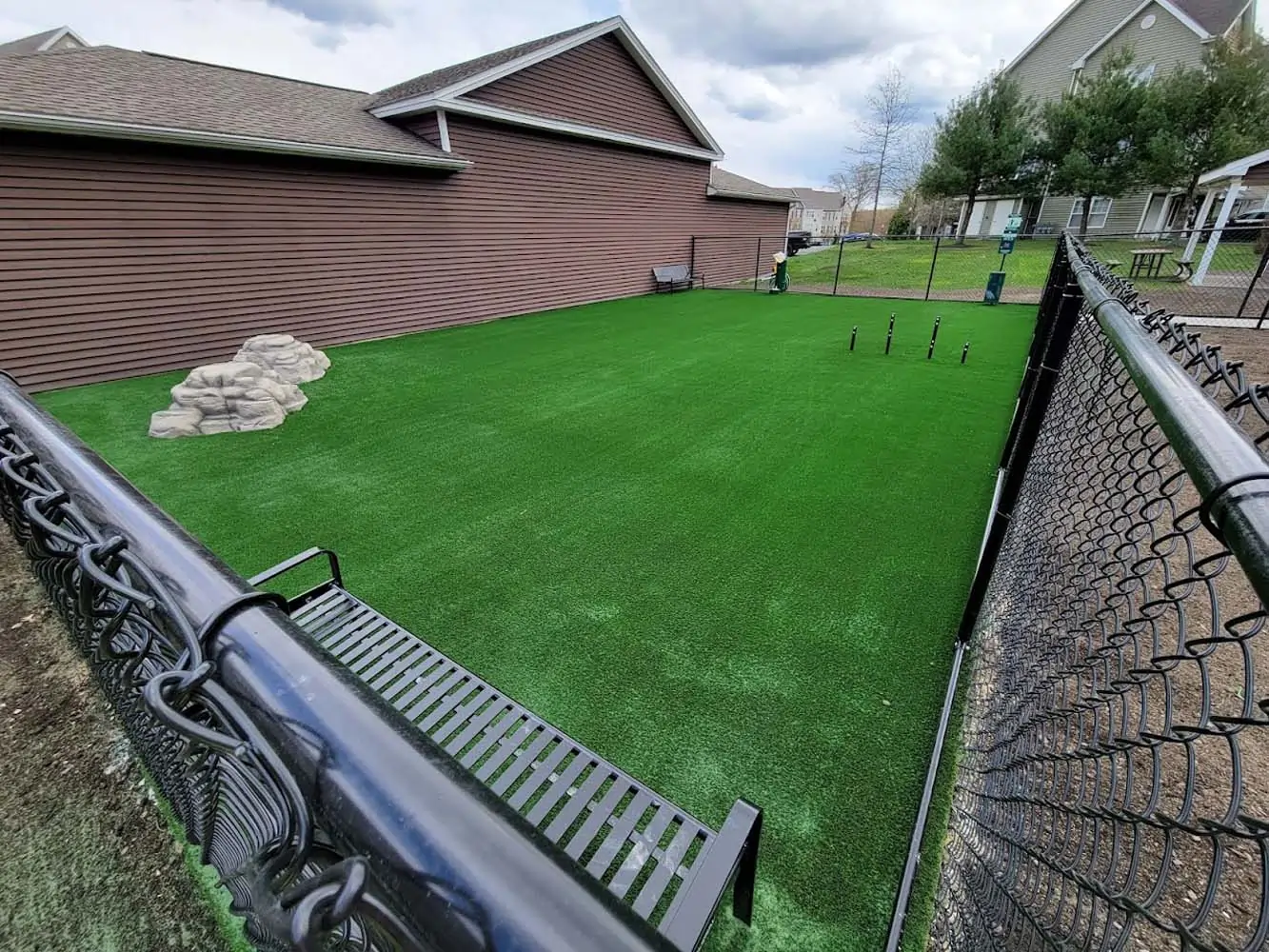Pet-Friendly Artificial Turf Installation in The Woodlands, TX